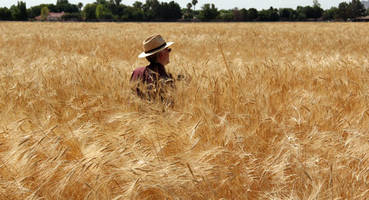 Hayden Flour Mills: Raising Arizona's Agricultural Roots